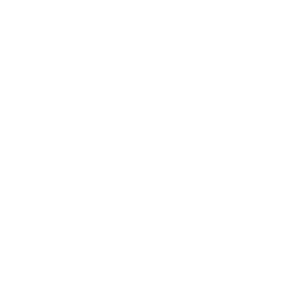 limited-edition